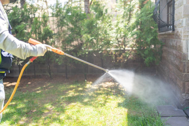 Best Fumigation Services  in Minster, OH